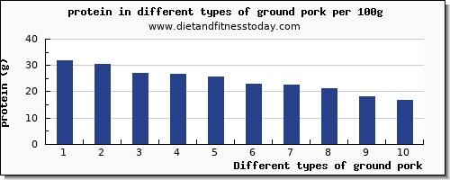 ground pork protein per 100g